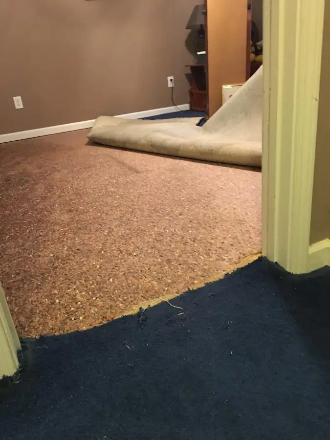 Carpet pad removal revealing water damage during Water Mitigation Services in O'Fallon