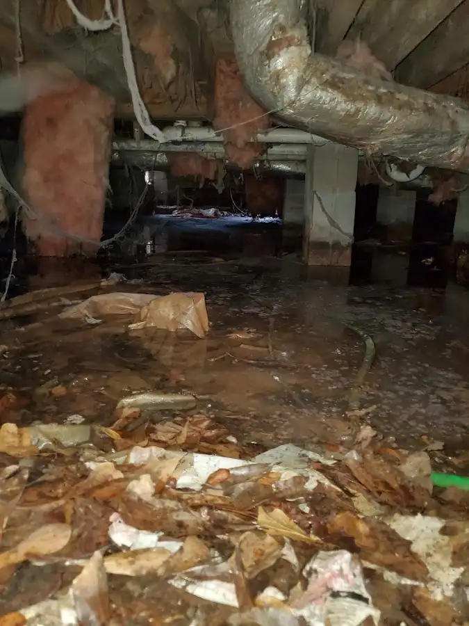 Crawl space flood assessment for Leak Detection & Repair in O'Fallon