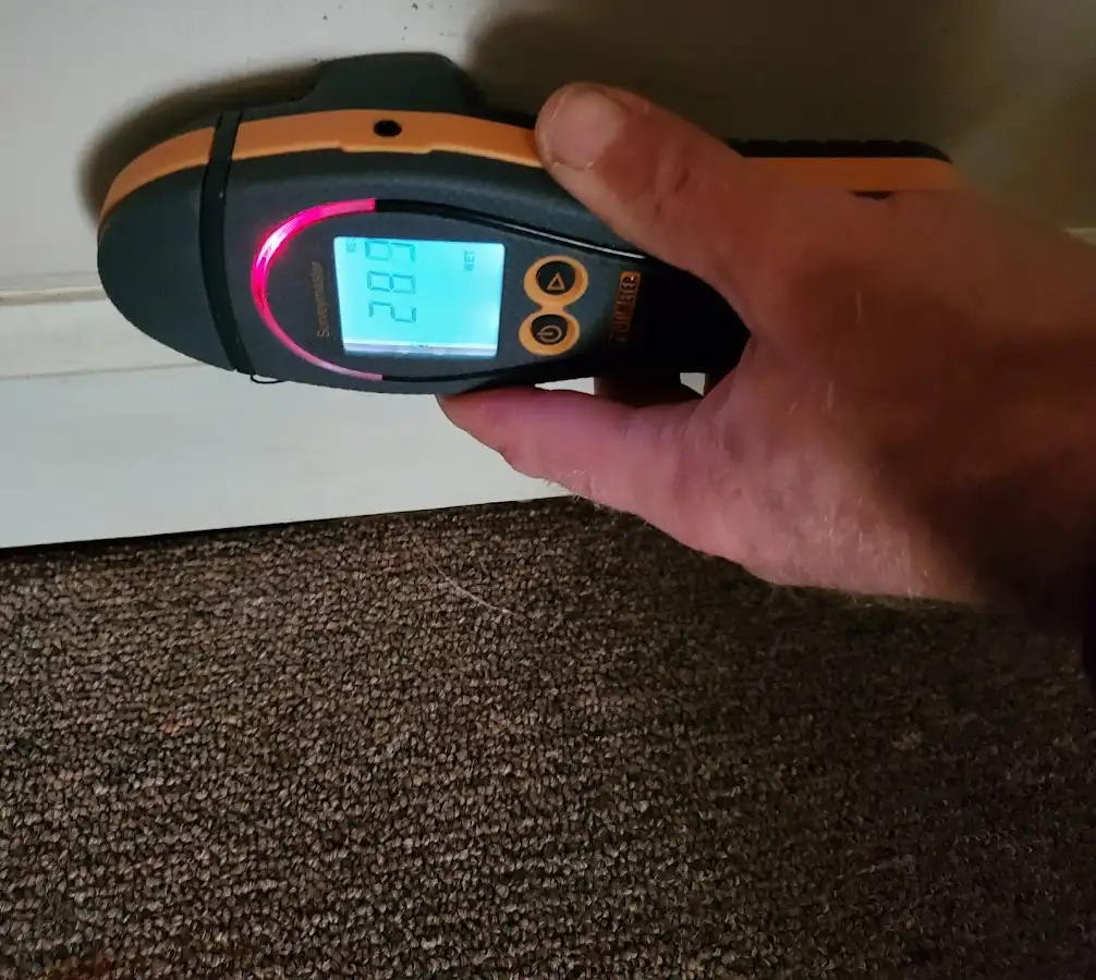 Moisture detection at baseboard during Sewage Cleanup & Sanitation in O'Fallon